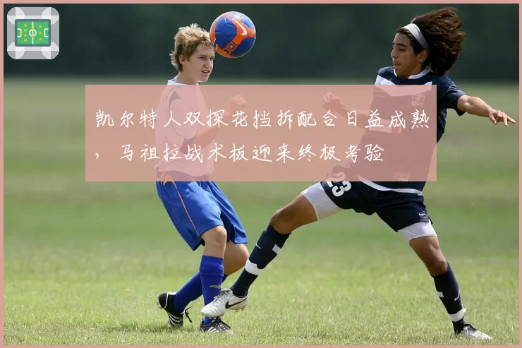 凯尔特人双探花挡拆配合日益成熟,马祖拉战术板迎来终极考验