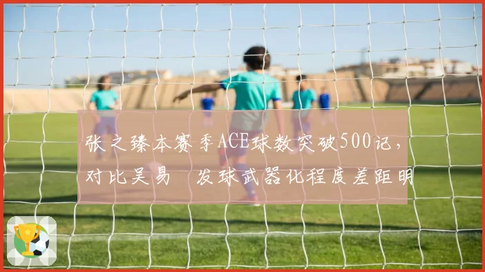 张之臻本赛季ACE球数突破500记，对比吴易昺发球武器化程度差距明显