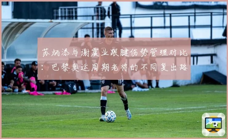 苏炳添与谢震业跟腱伤势管理对比：巴黎奥运周期老将的不同复出路径